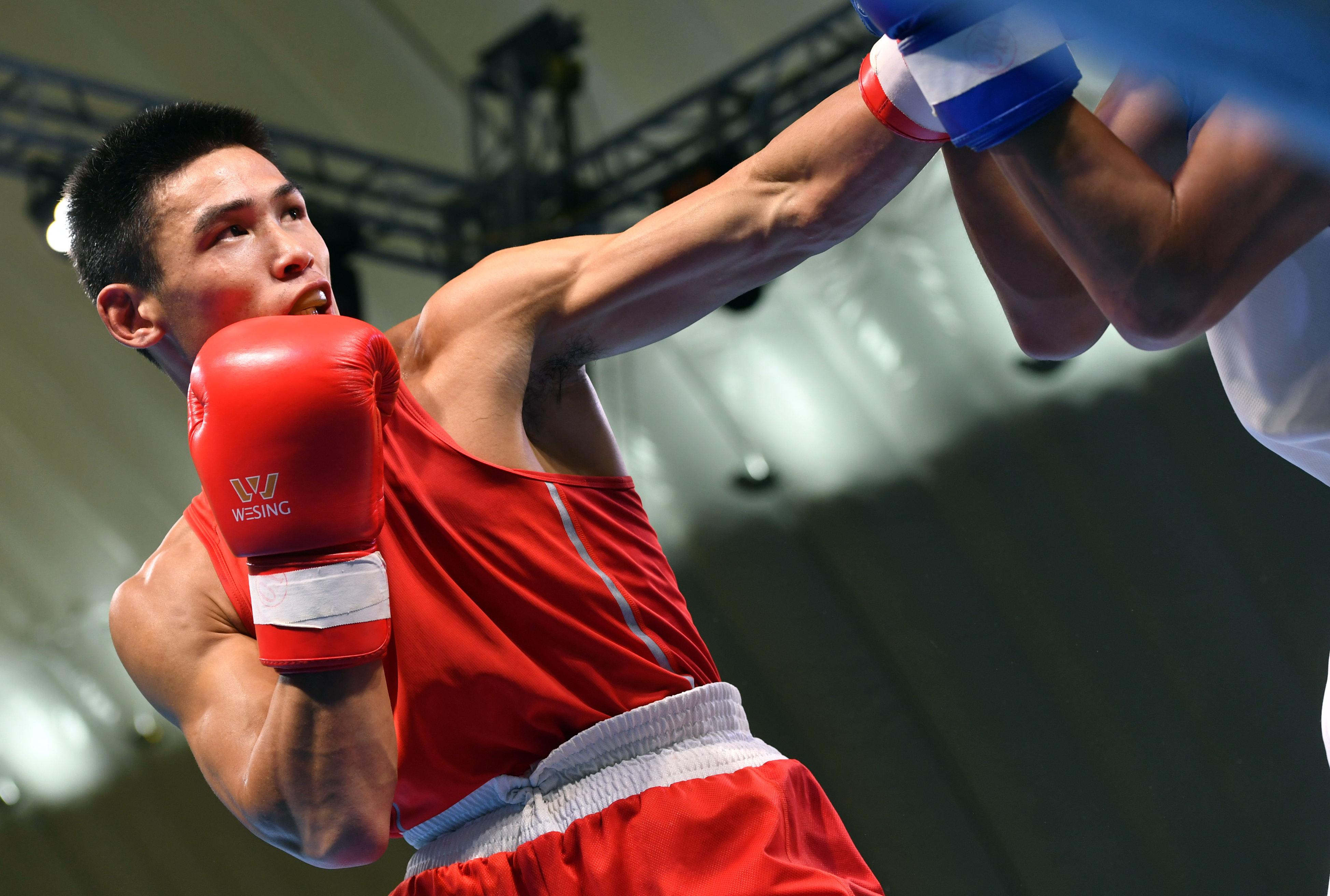 拳击男子半决赛选手力求晋级 拳击男子半决赛选手力求晋级