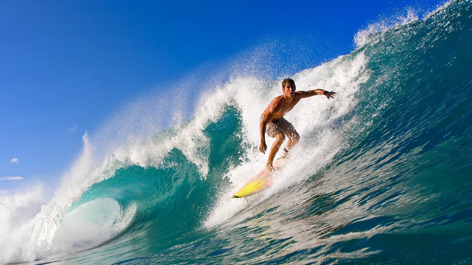 隐形舵手，哈赫茨如何以无声指挥，让多特蒙德的希腊高压沦为背景