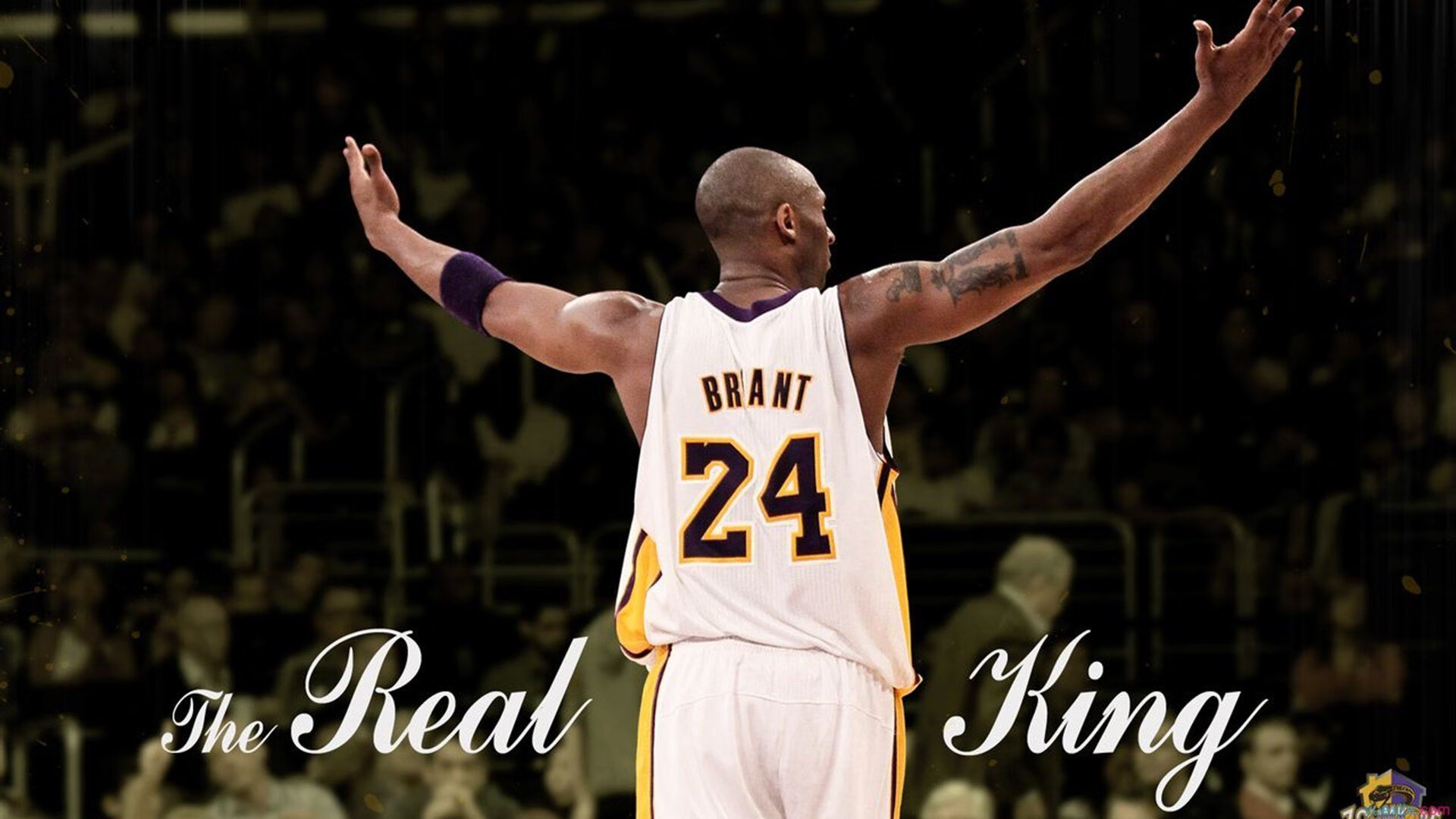 北非砂砾与北欧寒冰的碰撞,谁才是真正的硬仗之王?